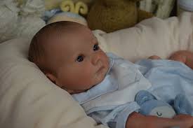 Reborn Kit Reborn Babies Realborn Asher Awake Groovy Asher Awake By Lori  And Doug Grover From