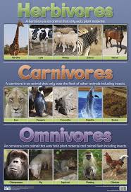 Herbivores Carnivores And Omnivores Wall Chart