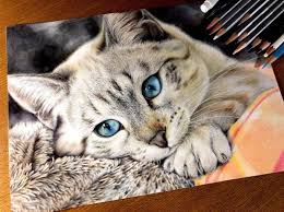 まるで写真のように写実的でリアルな猫の色鉛筆画がネット上で話題になっています どうやったらそんな 猫 描き方 動物を描く 猫 絵