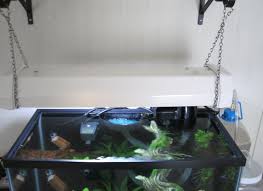 Pin On Aquarium2