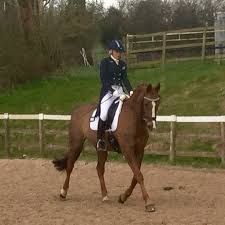Profile for Becky Vale Dressage