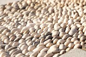 Check spelling or type a new query. Batu Laut Putih Tekstur Kerikil Batu Alam Pantai Meditasi Pijat Warna Pikist