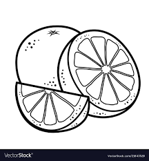 Orange Fruits Download A Free Preview Or High Quality Adobe Illustrator Ai Eps Pdf And High Resolution Jpeg V Fruit Vector Fruits Drawing Simple Car Drawing