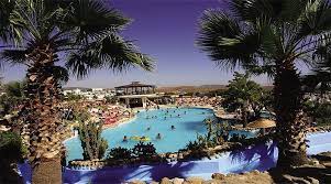 Gümbet, bodrum merkezine yaklaşık 4,7 km., bodrum milas havaalimanı'na ise 39 km. Palm Garden Gumbet Hotel All Inclusive Turkei Bei Hrs Gunstig Buchen