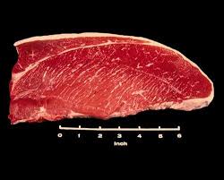 Beef Meat Identification Animal Science