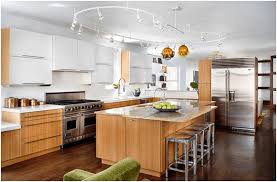 Pretty track lights (antique brass finish) with adjustable spotlights from lowes to replace fluorescent overhead light fixture in kitchen. 17 Different Types Of Track Lighting Home Stratosphere