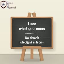 Gununkelimesi I See What You Mean Ne Demek Istedigini Anladim Oda Onlinedilakademisi Ingilizce Online Ingilizceo Evlilik Evlilik Teklifleri Ingilizce