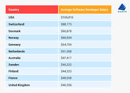 How much does a software developer make a year. How Much Does It Cost To Hire A Software Developer Radixweb