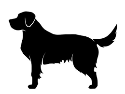 Affordable and search from millions of royalty free images, photos and vectors. Dog Clipart Photos Royalty Free Images Graphics Vectors Videos Adobe Stock