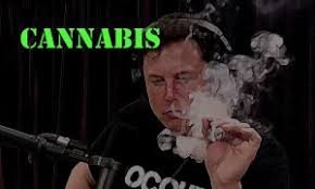 Powerfuljre is a youtube podcast run by an american guy named joe rogan. Signpost Joe Rogan Show Will Move To Spotify And Leave Youtube Swfi