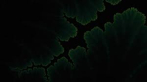 Make each time a real pleasure with so we make this app for your phone. 1920x1080 Green Plants Dark Amoled Laptop Full Hd 1080p Hd 4k Wallpapers Images Backgrounds Photos And Pictures