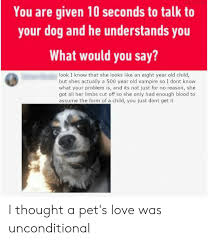 I heard you talking to another dog at the part lols, come to think of it in another perspective. You Are Given 10 Seconds To Talk To Your Dog And He Understands You What Would You Say Look I Know That She Looks Like An Eight Year Old Child But Shes