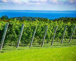 Leelanau Peninsula Wine Trail Map Leelanau Peninsula Wine Trail Wine Trail Leelanau Peninsula Leelanau
