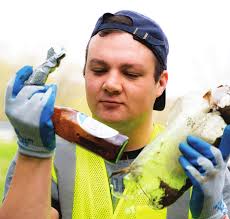 RESIDENTIAL RECYCLING GUIDE