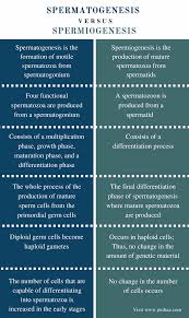 Biology For A Changing World 3rd Edition Chapter 1 Difference Between Spermatogenesis And Spermiogenesis Definition Stages Types Medical School Studying Biology Lessons Medical Knowledge