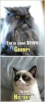 You Re Going Down Grumpy Funny Grumpy Cat Memes Grumpy Cat Meme Grumpy Cat Humor