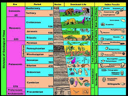 Index Fossil Chart Para Sys