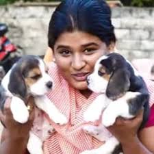 Top Pet Shops For Basset Hound Dog in Shyam Nagar