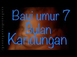 Beberapa ibu menjadi kreatif dan melukis posisi bayi mereka di atas perut mereka seperti karya seni. Usg Bayi Umur 7 Bulan Dalam Kandungan Youtube