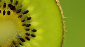 Eine bestimmte menge energie braucht der körper jedoch, abhängig von alter, geschlecht und gewicht, um richtig zu funktionieren. Sind Kiwis Gesund Nahrwerte Kalorien Und Nachhaltigkeit Utopia De