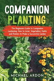 The plant looks like a spider because, from the mother plant, the younger plants grow out and hang from their mother like a web. Companion Planting The Beginners Guide To Companion Gardening How To Grow Vegetables Herbs And Flowers To Make A Successful Garden Kindle Edition By Ardon Michael Crafts Hobbies Home