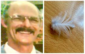 Finding feathers after mom's passing