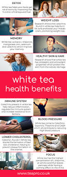 The color of the soup is. Everything You Need To Know About White Tea Teapro