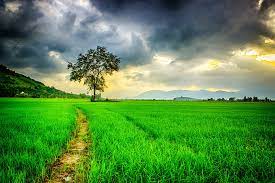 See nature stock video clips. Free Photo Nature Background Art Blurry Calm Free Download Jooinn