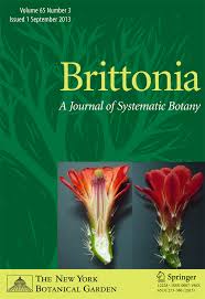 Image result for Magnistipula