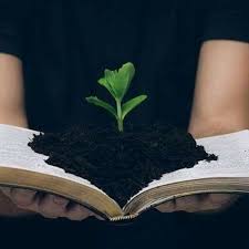 They are organized under the national association of free will baptists, or nafwb, an association of autonomous local churches in regional, state, and national fellowships. Bunker Hill Free Will Baptist Church Bunker Hill Indiana