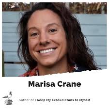 Amanda Claire Buckley (@aclairebuckley)