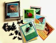 Bug Hotels!