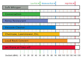 Preventing Hearing Loss Hearing Loss Causes Beltone South