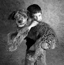A Dog S Purpose From A 6 Year Old Vetwest Animal Hospitals
