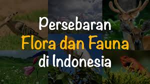 Bagaimana tidak, jumlah flora dan fauna indonesia tersebut semakin berkurang setiap harinya. Persebaran Flora Dan Fauna Di Indonesia Freedomsiana