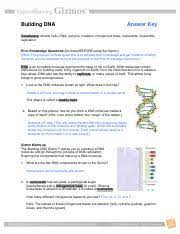 Building dna gizmo answer key solved activity b get the gizmo ready dna be sure the hint reads. Buildingdnase Key Building Dna Answer Key Vocabulary Double Helix Dna Enzyme Mutation Nitrogenous Base Nucleoside Nucleotide Replication Prior Course Hero