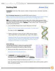 Building dna answer key vocabulary: Buildingdnase Key Building Dna Answer Key Vocabulary Double Helix Dna Enzyme Mutation Nitrogenous Base Nucleoside Nucleotide Replication Prior Course Hero