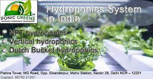 We Provide Information About Hydroponics Plants In Delhi Ncr Jaipur Gurgaon Hydroponics How It Work Benefi Hydroponics Hydroponics System Home Hydroponics