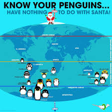 Pin By Found In Yonkers On Science Fun Facts About Animals Bird Life List Animal Infographic