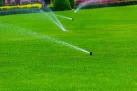 How to irrigate a lawn. Florida Irrigation How Much How Often Floralawn