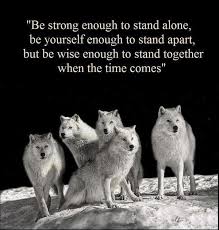 Be Strong Enough To Stand Alone Be Yourself Enough To Stand Picture Quotes