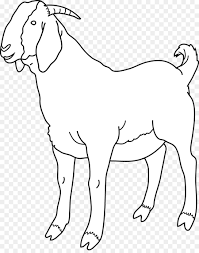 Kambing coklat, gambar kertas kartun kambing, bayi kuda, mamalia, anjing seperti mamalia, keluarga kambing sapi png. Gambar Kambing Hitam Putih Malaubuim
