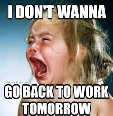 Keep the plug in the jug · 和I love Amsterdam XXX ッ与Terri Carmichael 一起