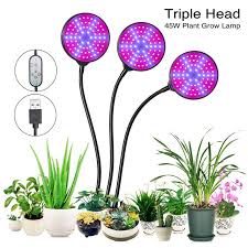Maybe you would like to learn more about one of these? Grow Light Price And Deals Aug 2021 Shopee Singapore