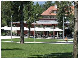 Best dining in tondela, viseu district: Tondela Portugal
