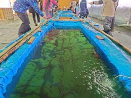 道の駅 おがわら湖