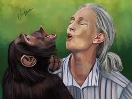 Jane goodall quotes