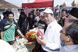 Ayam petelur memiliki karakteristik yang sama, semua ayam petelur sangat mudah stress, demi mendapatkan produksi telur yang berkualitas, maka buatlah para ayam senyaman mungkin. Entaskan Kemiskinan Di Tasik Mentan Tebar Ayam Kampung Petelur Unggul Indonesia Go Id Line Today