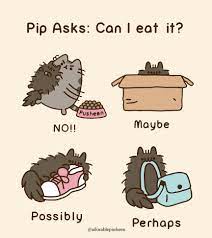 Pip Can I Eat It Pusheen Pusheen Cat Pusheen Love