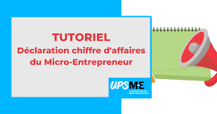 Il faut savoir que le calcul du chiffre d'affaire est imposé dans le cadre de l'établissement de déclarations fiscales, et en plus de suivre la performance. Tutoriel Pour La Declaration Du Chiffre D Affaires Du Micro Entrepreneur Upsme